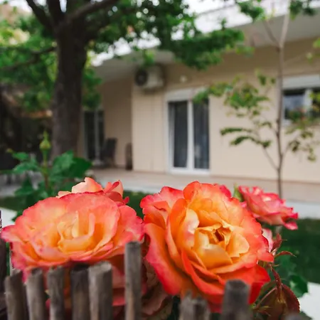 Lucy Apartment